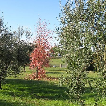 Villa Chiara Bracciano  Extérieur photo