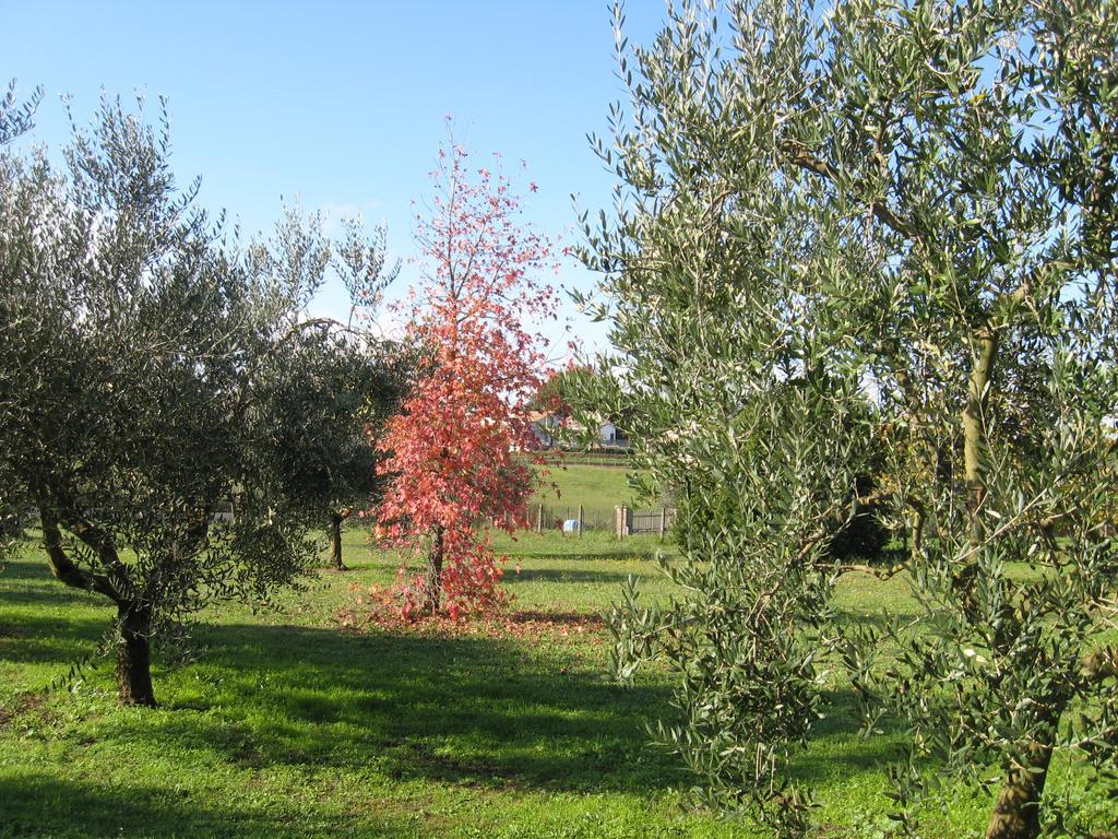 Villa Chiara Bracciano  Extérieur photo